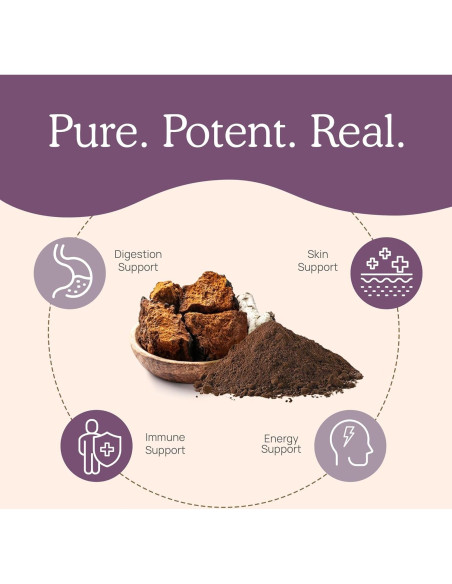 Polvo de Hongo Chaga Orgánico Real Mushrooms 150g - Energía y Bienestar Polvo de Hongo Chaga Orgánico Real Mushrooms 150g - Energía y Bienestar