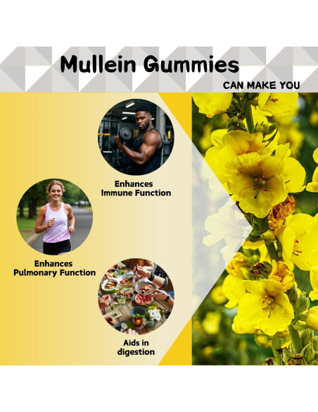 Gomitas de Mullein Riyuetian 2000mg para Salud Respiratoria - 60 Unidades Gomitas de Mullein Riyuetian 2000mg para Salud Respiratoria - 60 Unidades