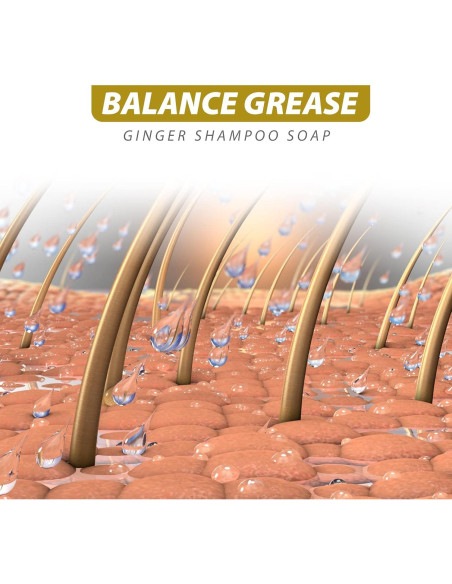 Jabón de Champú Orgánico Starhig 2 Pcs Jengibre 60g Jabón de Champú Orgánico Starhig 2 Pcs Jengibre 60g