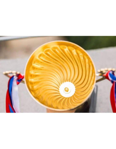 Trofeo Dorado Wrzbest HYCT - 33.5 cm, Premio para Deportes