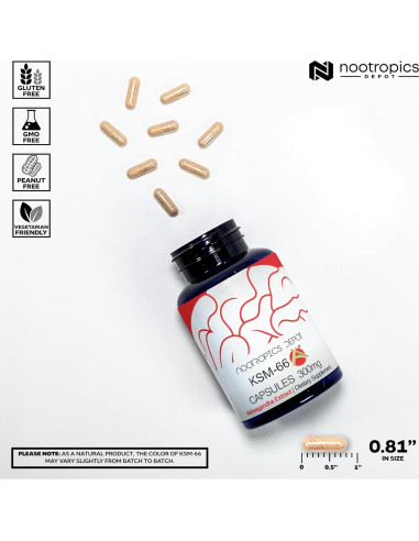 Cápsulas KSM-66 Ashwagandha Nootropics Depot 300mg 90 Unidades