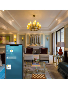 Interruptor de Relé WiFi DoHome, Control Remoto Inalámbrico 2 Pzas 2