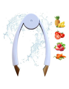 Removedor de Ojos de Piña RRISETAG Acero Inoxidable Multifuncional