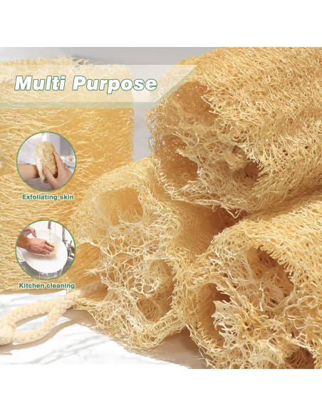 Esponja de Lufa Natural Orgánica Balifeel Set de 6 Piezas Esponja de Lufa Natural Orgánica Balifeel Set de 6 Piezas