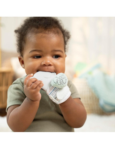 Mitón y Sonajero Ingenuity Van Elefante Silicona BPA 3 meses