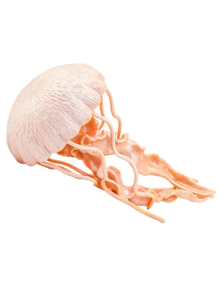 Figura de Medusa Safari Ltd. 12.7 cm Juguete Educativo Figura de Medusa Safari Ltd. 12.7 cm Juguete Educativo