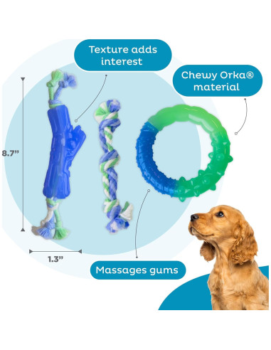 Juguetes de Masticación Dental Orka Puppy Outward Hound - 3 Piezas