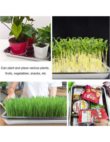 Paquete de 5 bandejas grandes de acero inoxidable RooTrimmer Paquete de 5 bandejas grandes de acero inoxidable RooTrimmer