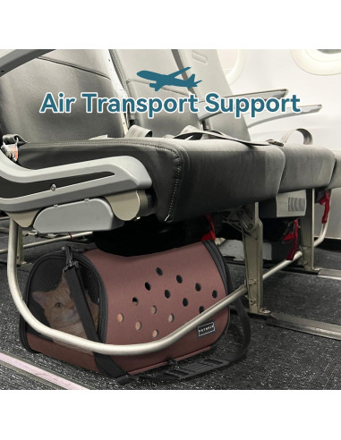Transportín para Conejos Petsfit 40.6x22.9x22.9cm, Ligero y Ventilado