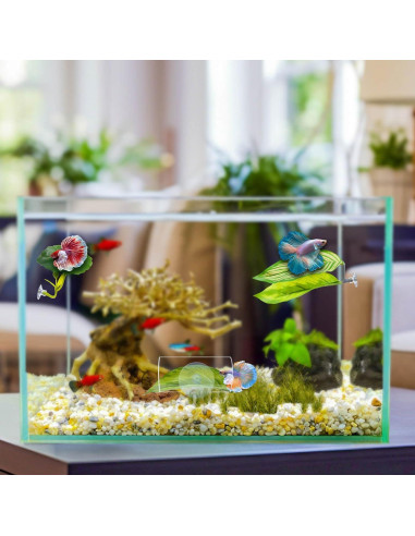 Juego de Accesorios para Acuario Betta BaoZqua 5 Piezas