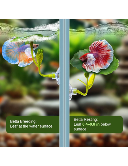 Juego de Accesorios para Acuario Betta BaoZqua 5 Piezas Juego de Accesorios para Acuario Betta BaoZqua 5 Piezas