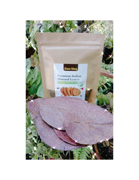 Hojas de Almendra India SIAM 50g para Peces Betta y Camarones Hojas de Almendra India SIAM 50g para Peces Betta y Camarones