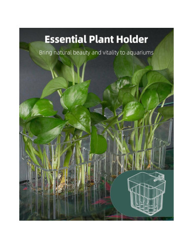 Soporte de Planta de Acuario Pawfly 2 Pcs Acrílico Transparente