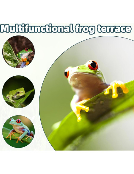 3 Piezas Accesorios para Acuario Sapo de Árbol Gosknor 18.5x7.3cm 3 Piezas Accesorios para Acuario Sapo de Árbol Gosknor 18.5x7.3cm