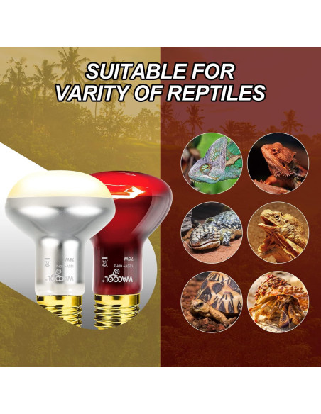 WACOOL 2Pack Lámpara de Calor 75W para Reptiles UVA WACOOL 2Pack Lámpara de Calor 75W para Reptiles UVA