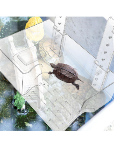 Plataforma de Sol para Tortugas NOLITOY Acrílica Flotante 11.5cm