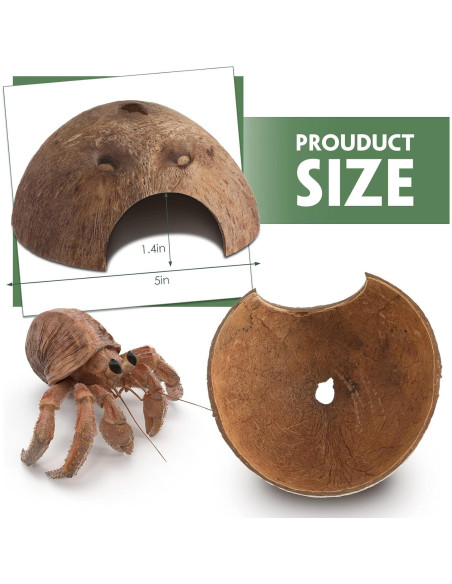 6 Refugios de Coco para Reptiles Woanger - Escondites Naturales 12.7 cm 6 Refugios de Coco para Reptiles Woanger - Escondites Naturales 12.7 cm