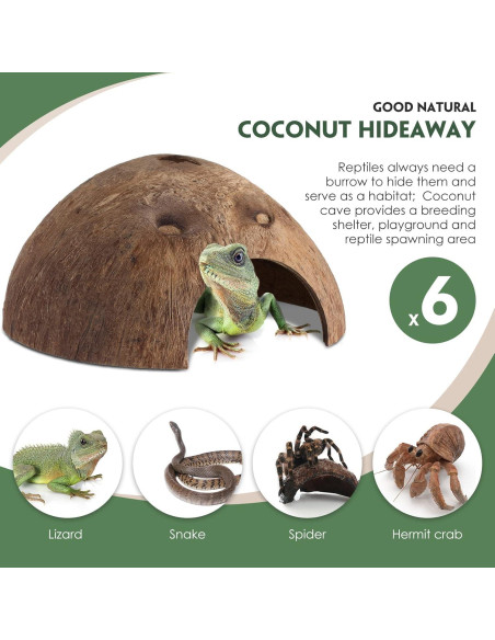6 Refugios de Coco para Reptiles Woanger - Escondites Naturales 12.7 cm 6 Refugios de Coco para Reptiles Woanger - Escondites Naturales 12.7 cm