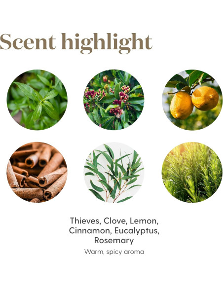 Limpiador Multi-Superficie Thieves Young Living 408 g Limpiador Multi-Superficie Thieves Young Living 408 g