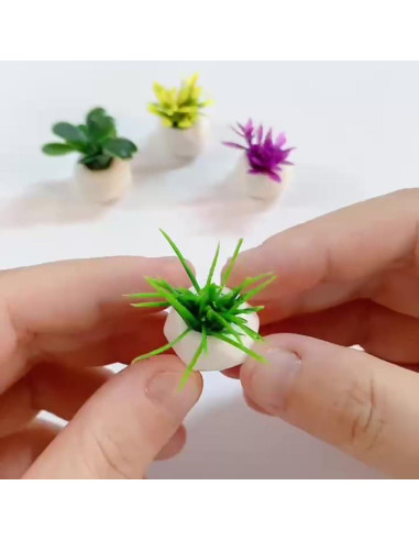 Conjunto 4PCS Mini Plantas Suculentas Resina WinldMonmo