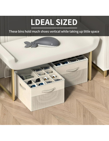 Organizador de Zapatos Aokeyee Beige - 2 Cajas Plegables con Divisores