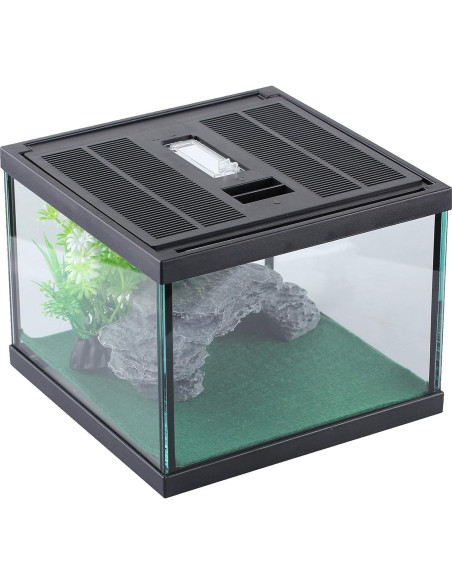 Terrario de Vidrio Crapelles para Arañas y Insectos 19.81x19.81cm Terrario de Vidrio Crapelles para Arañas y Insectos 19.81x19.81cm