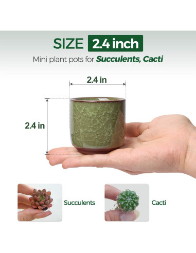 Macetas de Cerámica T4U Pequeñas 6 Piezas 6 cm con Drenaje