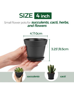 Macetas Pequeñas T4U 10 cm Paquete de 18 con Plato y Drenaje 2