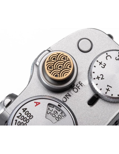 Cubierta de zapata caliente DBZZ para Fujifilm y Nikon