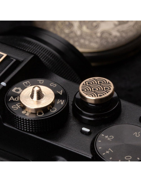 Cubierta de zapata caliente DBZZ para Fujifilm y Nikon Cubierta de zapata caliente DBZZ para Fujifilm y Nikon