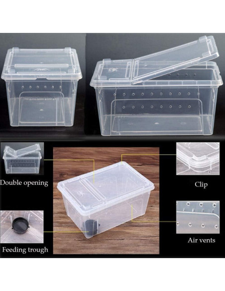Caja de Alimentación para Reptiles Hamiledyi 32x21.8cm Caja de Alimentación para Reptiles Hamiledyi 32x21.8cm