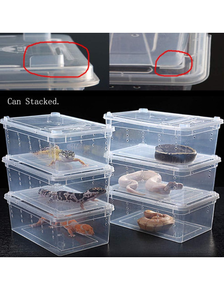 Caja de Alimentación para Reptiles Hamiledyi 32x21.8cm Caja de Alimentación para Reptiles Hamiledyi 32x21.8cm