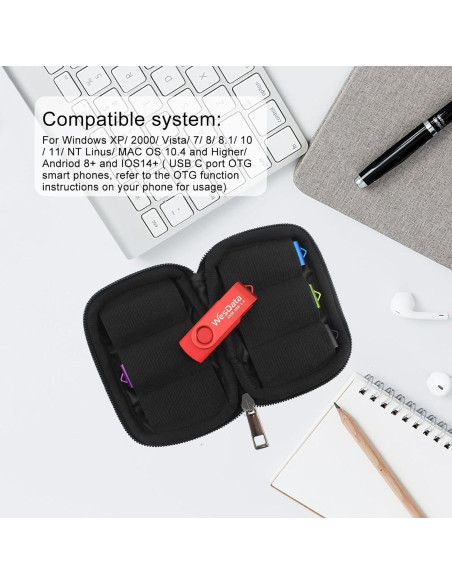 Paquete de 5 unidades USB 2.0 8GB WesData + 2 adaptadores C Paquete de 5 unidades USB 2.0 8GB WesData + 2 adaptadores C