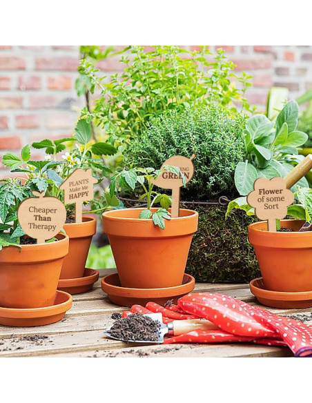 15 Etiquetas de Plantas de Madera GOMAKERER - 15 Estilos Divertidos 15 Etiquetas de Plantas de Madera GOMAKERER - 15 Estilos Divertidos