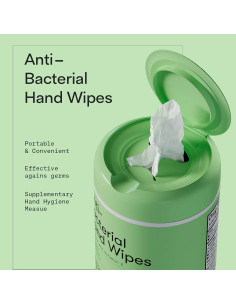 Toallitas Antibacteriales Biopure 50 ct Aloe y Vitamina E 2