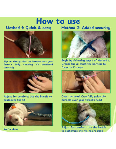 Arnés y Correa Ajustable para Hurones Homedy Azul