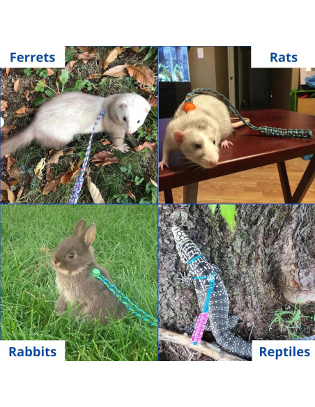 Arnés y Correa Ajustable para Hurones Homedy Azul