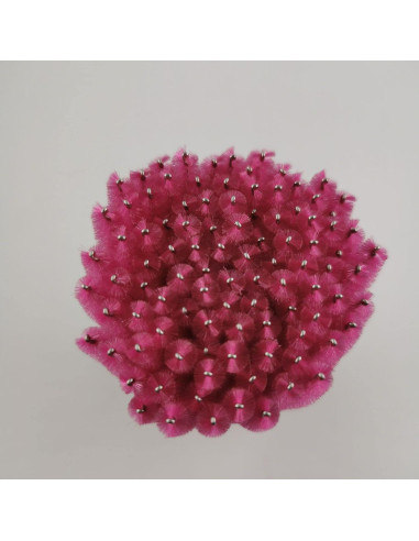 Cepillos desechables para pestañas Pimoys 100 pcs 10 cm