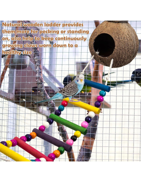 Nido de Pájaro de Coco Natural PINVNBY con Escalera y Columpio Nido de Pájaro de Coco Natural PINVNBY con Escalera y Columpio