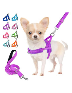 Arnés para Perros Pequeños Lukovee Acolchado Reflectante XXS