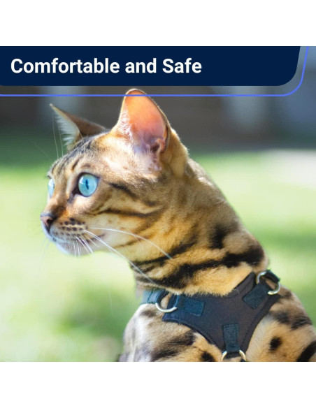 Arnés Houdini Escape Proof para Gato Mediano OutdoorBengal - Negro Arnés Houdini Escape Proof para Gato Mediano OutdoorBengal - Negro