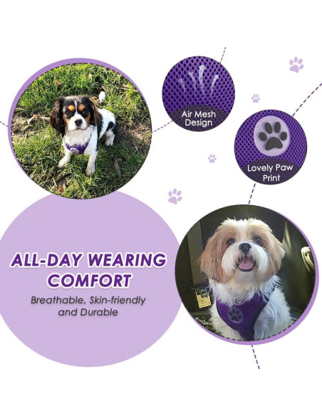 Arnés de Perro Lukovee Ajustable para Auto XXX-Pequeño Púrpura Arnés de Perro Lukovee Ajustable para Auto XXX-Pequeño Púrpura