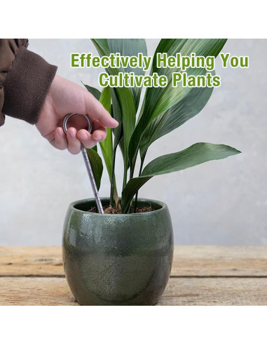 Medidor de Humedad de Suelo Lichtund 25.4 cm para Plantas