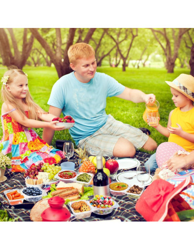 50 Contenedores de Condimentos Doble Compartimento Palksky