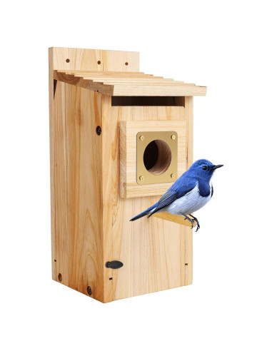 Casa para Aves ColorfulLaVie de Madera 63x27x11 cm con Protector