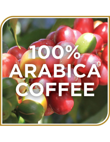 Café Mezcla Kona Don Francisco - 100 Cápsulas Compatibles Keurig