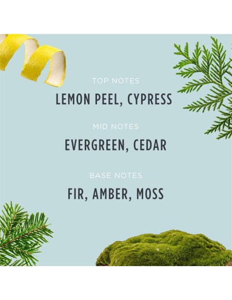 Vela de Navidad Santa's Naturals Abeto Fraser 255g - Quema 30h Vela de Navidad Santa's Naturals Abeto Fraser 255g - Quema 30h