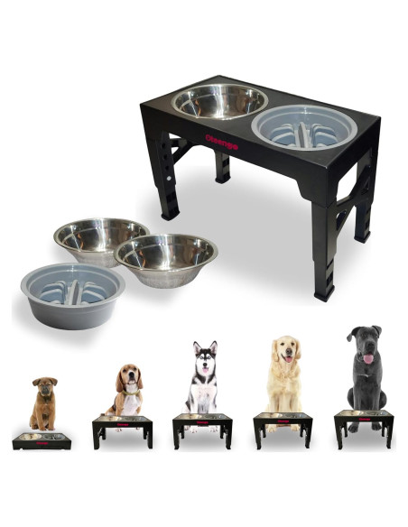 Soporte Elevado para Cuencos de Perro Oteengo con 2 Cuencos de Acero Inoxidable Soporte Elevado para Cuencos de Perro Oteengo con 2 Cuencos de Acero Inoxidable