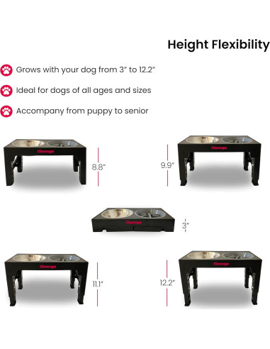 Soporte Elevado para Cuencos de Perro Oteengo con 2 Cuencos de Acero Inoxidable