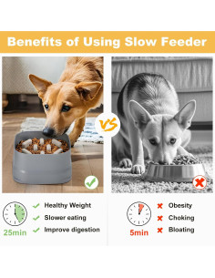 Plato de Comida Lenta Sunhoo para Perros Grandes y Medianos 2